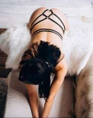SİYAH HARNESS